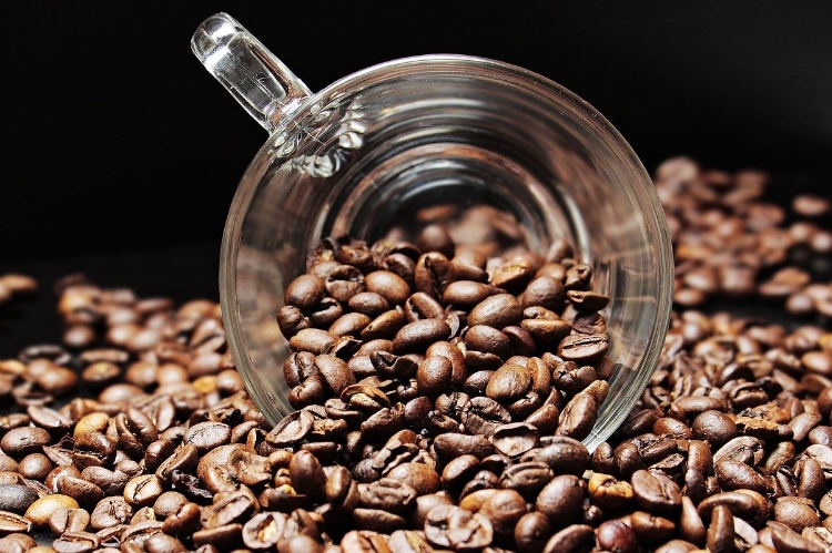 Kaffeesatz als Dünger - Stickstoff und leichte Säure