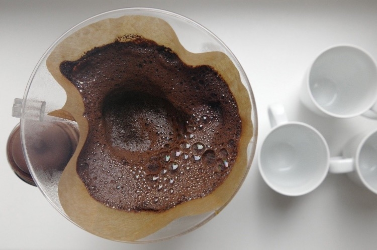 Kaffeesatz als Dünger - mit kaltem Kaffee düngen